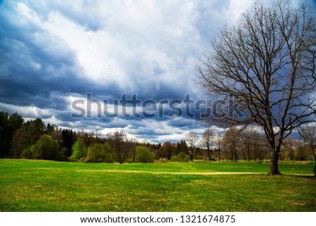 image of the landscape on a sunny spring day. Blue sky with clouds. panorama