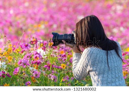 Professional woman photographer taking camera outdoor portraits with prime lens in the photography flower cosmos meadow nature. Travel and Lifestyle Concept. soft focus