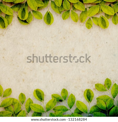 Mulberry paper with creepers, environment concept background