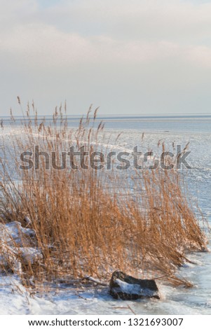 Winter landscape of the snowy coast on a sunny day