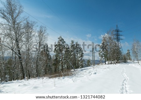 Winter nature: pure white snow, blue sky