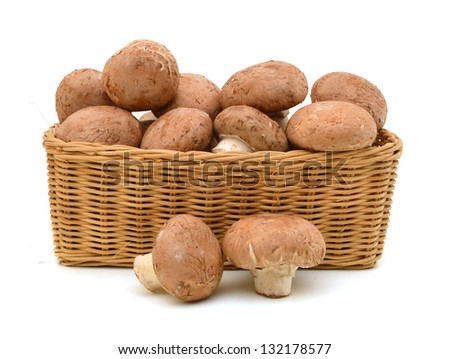 common mushroom in basket on white