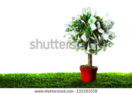 photo of tree made of dollars isolated on white