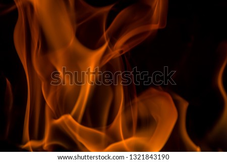 Flames close up. Fire on a black background.