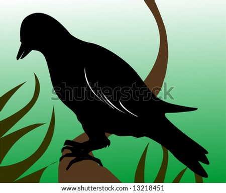 crow sitting on a branch of tree 	