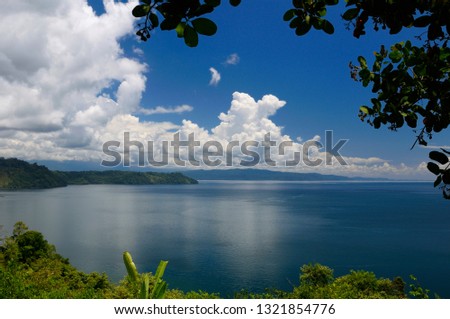Blue calm water of Golfo Dulce at Osa Peninsula Costa Rica under Cashew tree Royalty-Free Stock Photo #1321854776