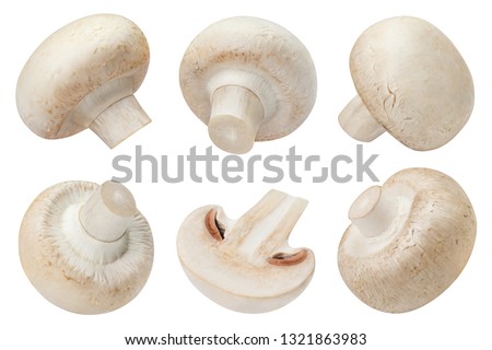 Big set of fresh champignon mushrooms, isolated on white background Royalty-Free Stock Photo #1321863983
