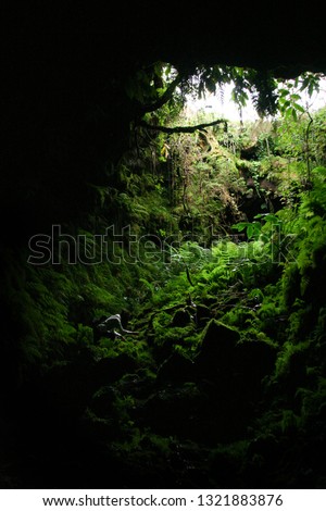 Cave opening with model and green foliage.
Terceira, Azores, Portugal. 