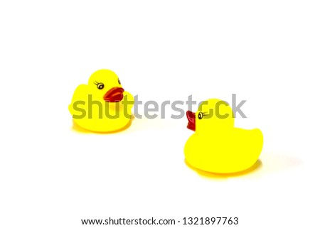 Face to face of yellow rubber duck toy on white background, conversation concept, isolated.