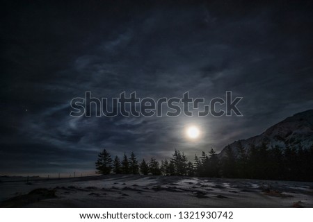 A moonlight scene