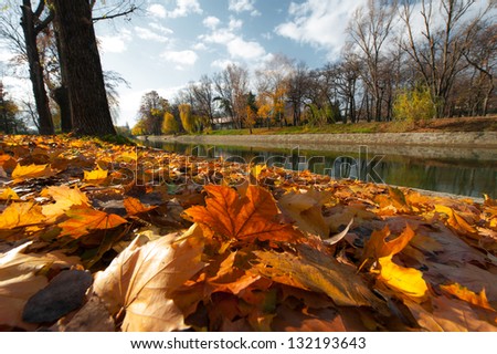 Autumn foliage and stream reflection in a park in October