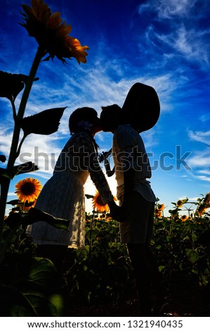 silhouette of couple with guitar kissing in field of sunflowers