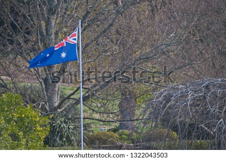 Australian national flag in middle of forest