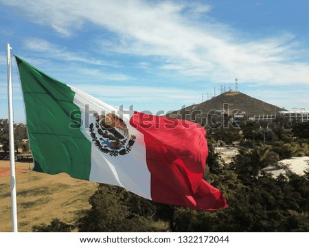 national flag of mexico waving high