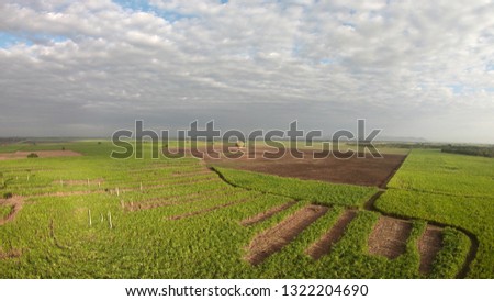 aerial drone footage of crops growing in a field / Green field patterns, strange shapes on the crop. Balloon on the horizon. Farmland