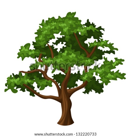 Oak tree. Vector illustration.