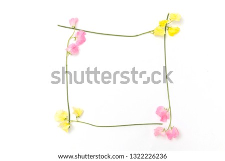 Flower frame of spring