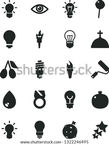 Solid Black Vector Icon Set - matte light bulb vector, new roller, eye, drop, Chupa Chups, pomegranate, cornels, energy saving, flame torch, flag on moon, gold ring, crown with cross, three stars