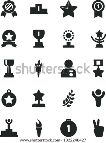 Solid Black Vector Icon Set - star vector, flame torch, winner, laurel branch, pedestal, podium, award, cup, gold, reward, man with medal, first place, pennant, hero, ribbon, victory hand