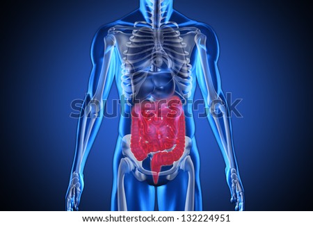 Digital blue human with highlighted digestive system on blue background Royalty-Free Stock Photo #132224951