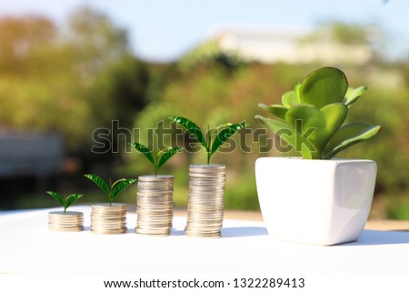 Tree growing on coins stack with sunray for saving money concept