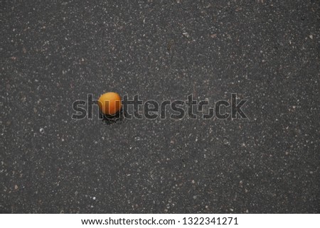 Peach is lying on the wet asphalt