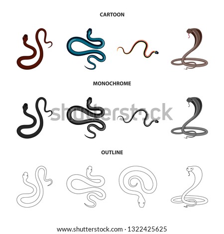 Vector illustration of mammal and danger sign. Collection of mammal and medicine stock vector illustration.
