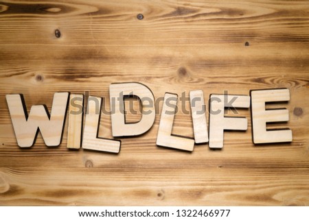 WILDLIFE word made of wooden block letters on wooden board.