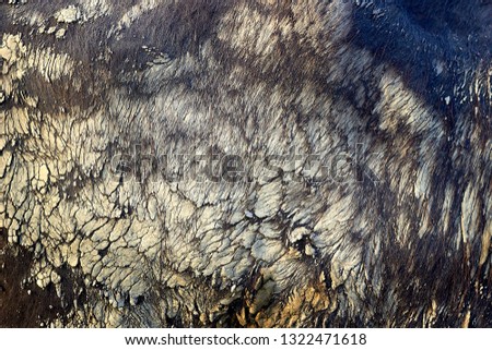 Detailed macro picture of water buffalo's (Bubalus bubalis) skin. Texture, background.