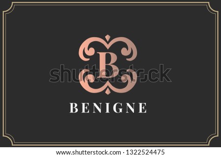 Premium monogram letter B initials logo. Universal symbol icon vector design. Luxury ornament logotype
