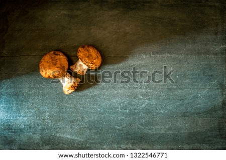 Portobello mushrooms on dark background