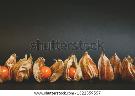 Winter cherry physalis on a dark background. The view from the top. Free copy space for text.
