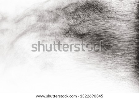  Black particles explosion isolated on white background. Abstract dust overlay texture.
