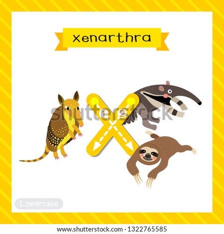 Letter X lowercase cute children colorful zoo and animals ABC alphabet tracing flashcard of Xenarthra for kids learning English vocabulary and handwriting vector illustration.