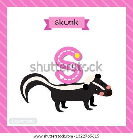 Letter S lowercase cute children colorful zoo and animals ABC alphabet tracing flashcard of Skunk for kids learning English vocabulary and handwriting vector illustration.