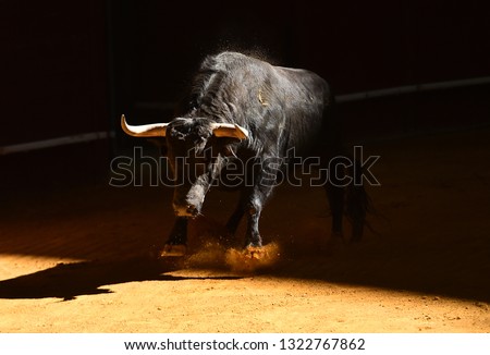 Bull in spanish bullring Royalty-Free Stock Photo #1322767862