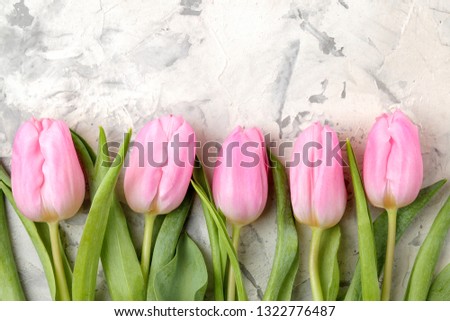 A bouquet of beautiful pink tulips flowers on a light concrete background. Spring. holidays. top view. free space
