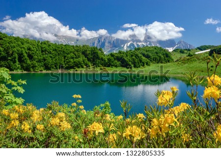Beautiful lake in the mountains and flowers in the foreground