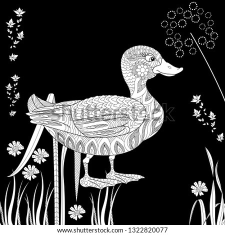 Coloring Pages. Coloring Book for adults and children. Colouring pictures with duck. Antistress freehand sketch drawing with doodle and zentangle elements.