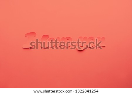 Phrase I love you cartoon style in coral color background. Valentine day minimal concept Flat lay Top view
