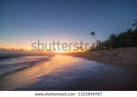amazing indian ocean beach on sunset with row palms on horizon. exotic wallpaper