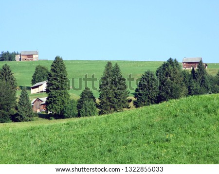 Rural traditional architecture and livestock farms on the slopes of Alviergruppe and in the Rhine valley - Canton of St. Gallen, Switzerland