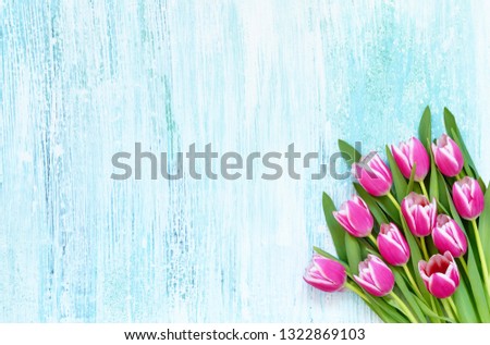 Pink tulips bouquet on blue backgroun. Top view, copy space. Holiday background.  Flat lay of Mothers Day, birthday, International Womens Day celebration.