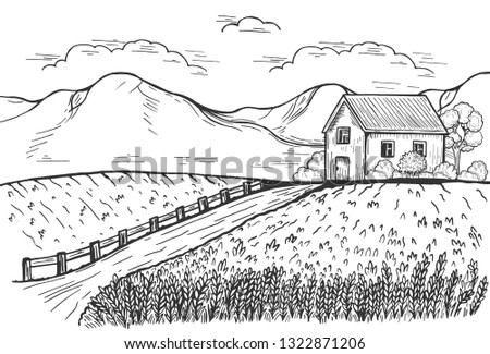 Vector illustration of rural landscape with homeward road, roadside fence and wheat fields on both sides, house with garden and mountains on background. Vintage hand drawn style. Royalty-Free Stock Photo #1322871206