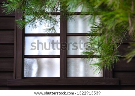old style Japanese window and white fabric inside. the green pine tree on front