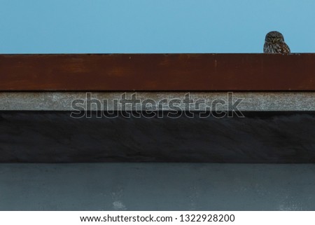 Strips of the roof