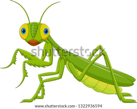 Cute grasshopper cartoon - Green Mantis