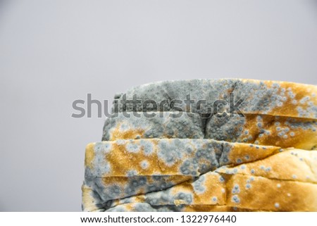 Close up of moldy bread on white background, expired can not eat any more because it is harmful to health.