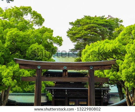 View of the Meiji Jingu Shinto Shrine in Yoyogi Park, Tokyo, Japan 