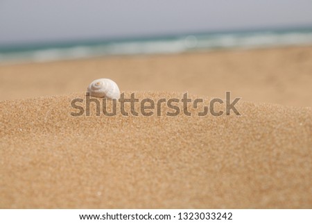 A picture of a small snail cottage lying on sand. 